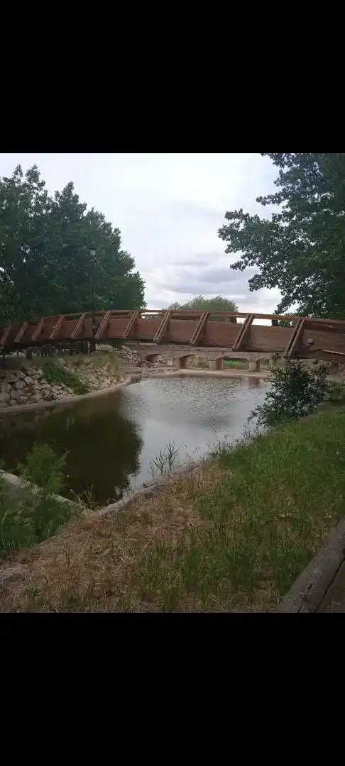 Schwimmbecken von Country house zum Verkauf in Socuéllamos mit Klimaanlage