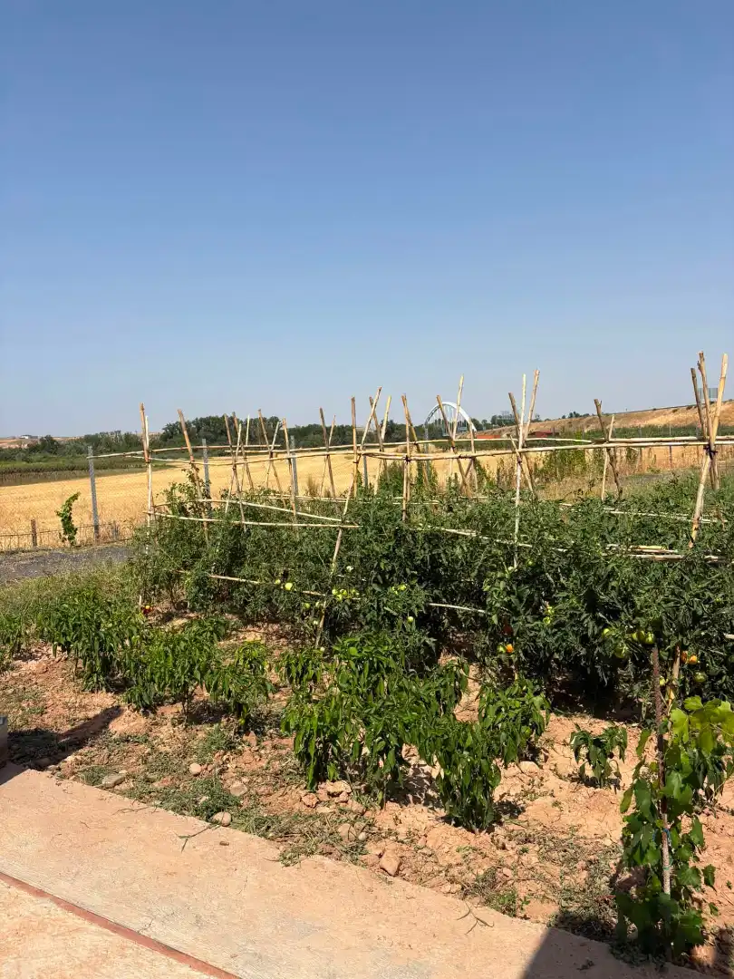 Terreno rústico en venta en La Portalada - Varea, imagen 17
