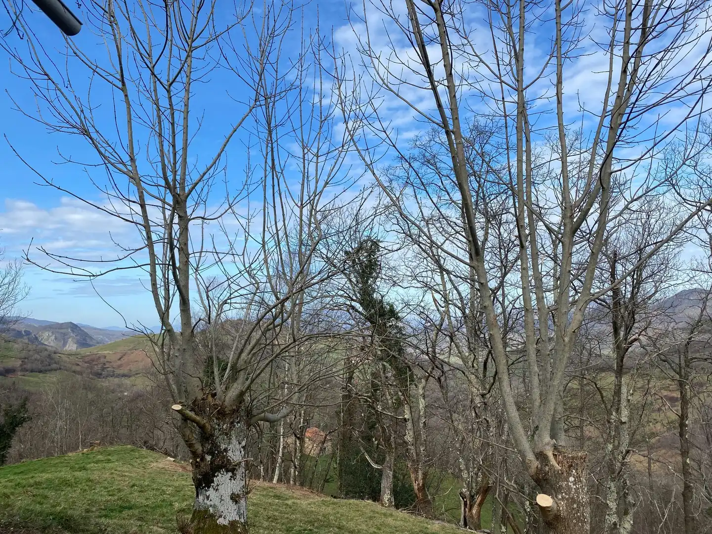 Rural land for sale in Onís, imagen 13
