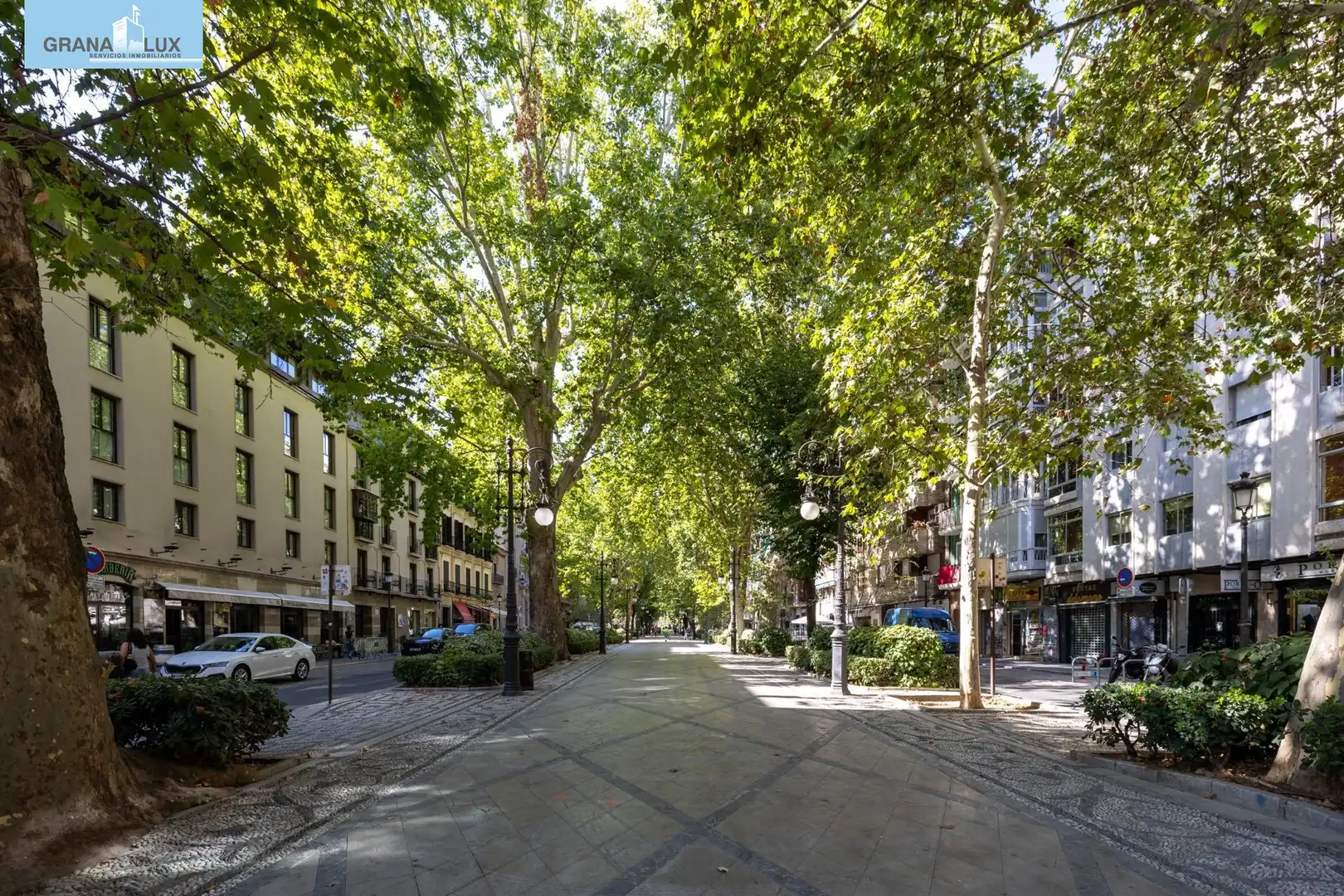 Piso con terraza en venta en Calle NUEVA DE LA VIRGEN 3, imagen 43