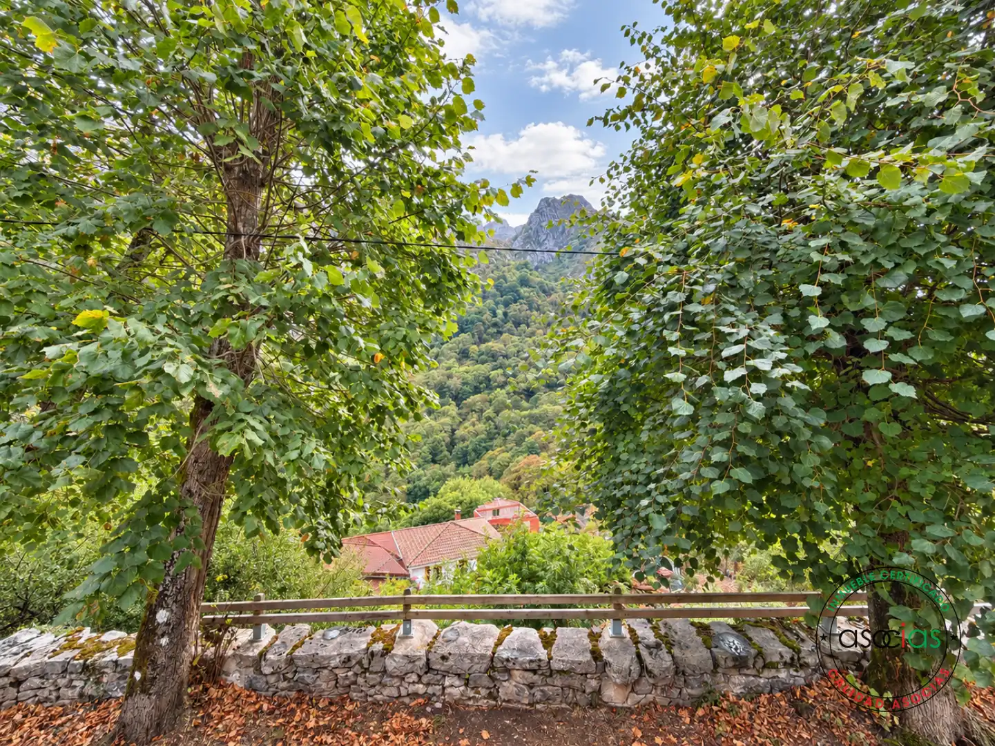 Maison avec terrasse à vendre à Ponga - San Ignacio /  Ponga 101, imagen 39