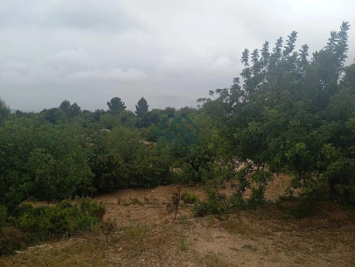 Terreno rustico in vendita a Buñol, imagen 14