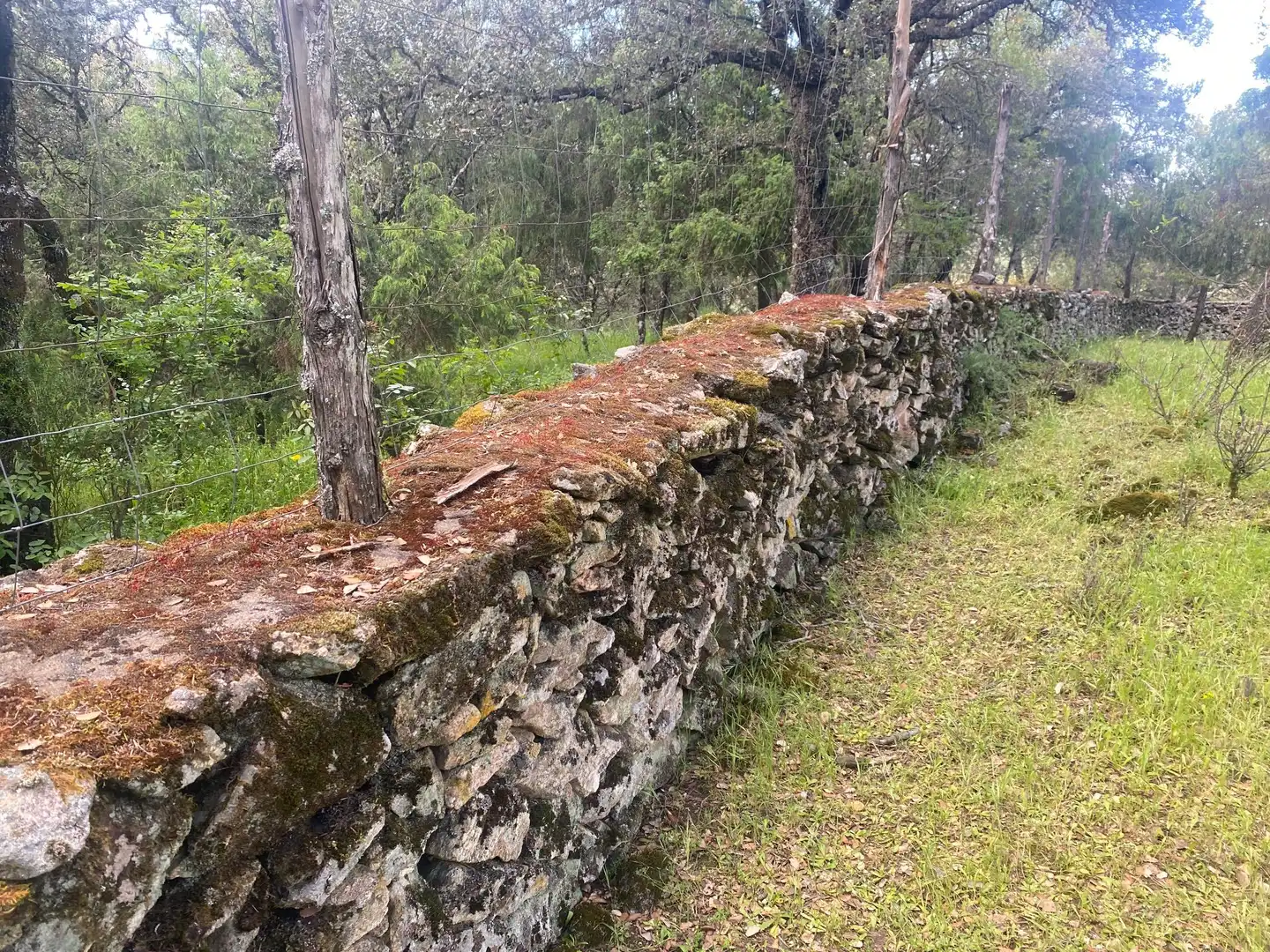 Außenansicht von Country house zum Verkauf in El Real de San Vicente mit Klimaanlage, Heizung und Privatgarten