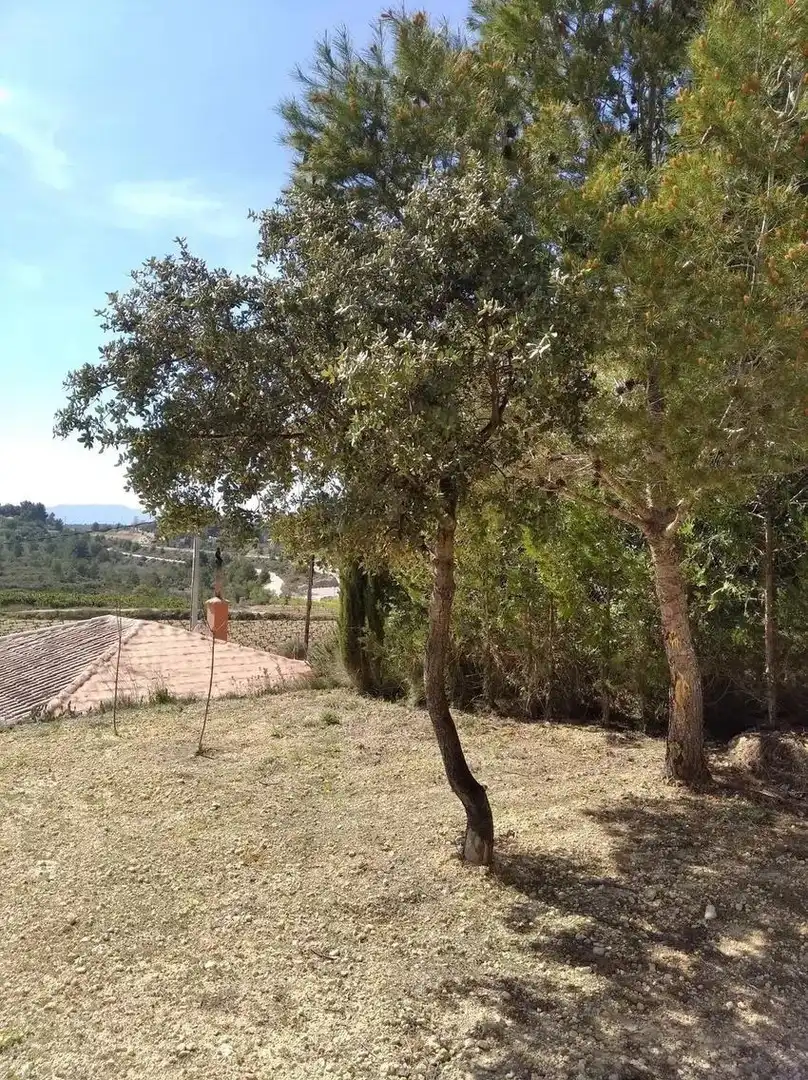 Casa o chalet en venta en Godelleta con Jardín privado, Terraza y Trastero