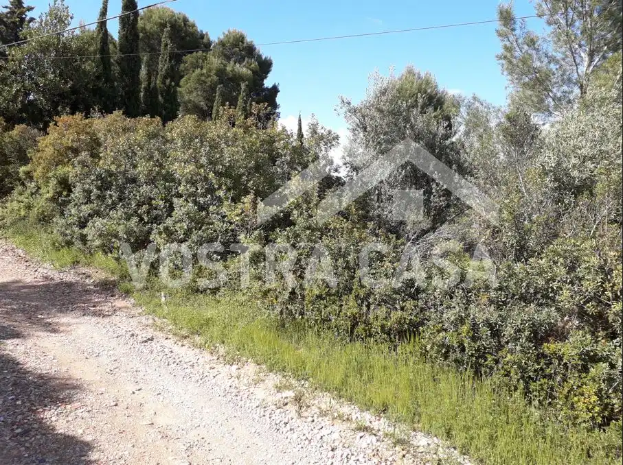 Terreno rustico in vendita a Albarracin, imagen 2