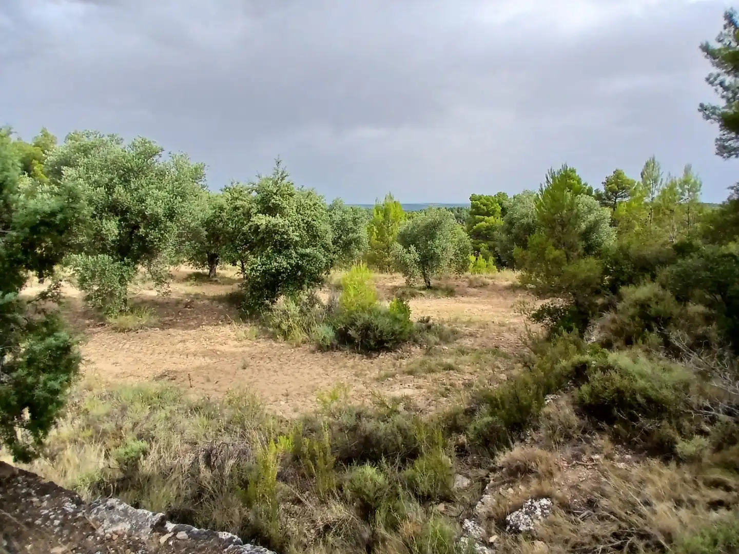 Terreno rustico in vendita a La Fresneda, imagen 10