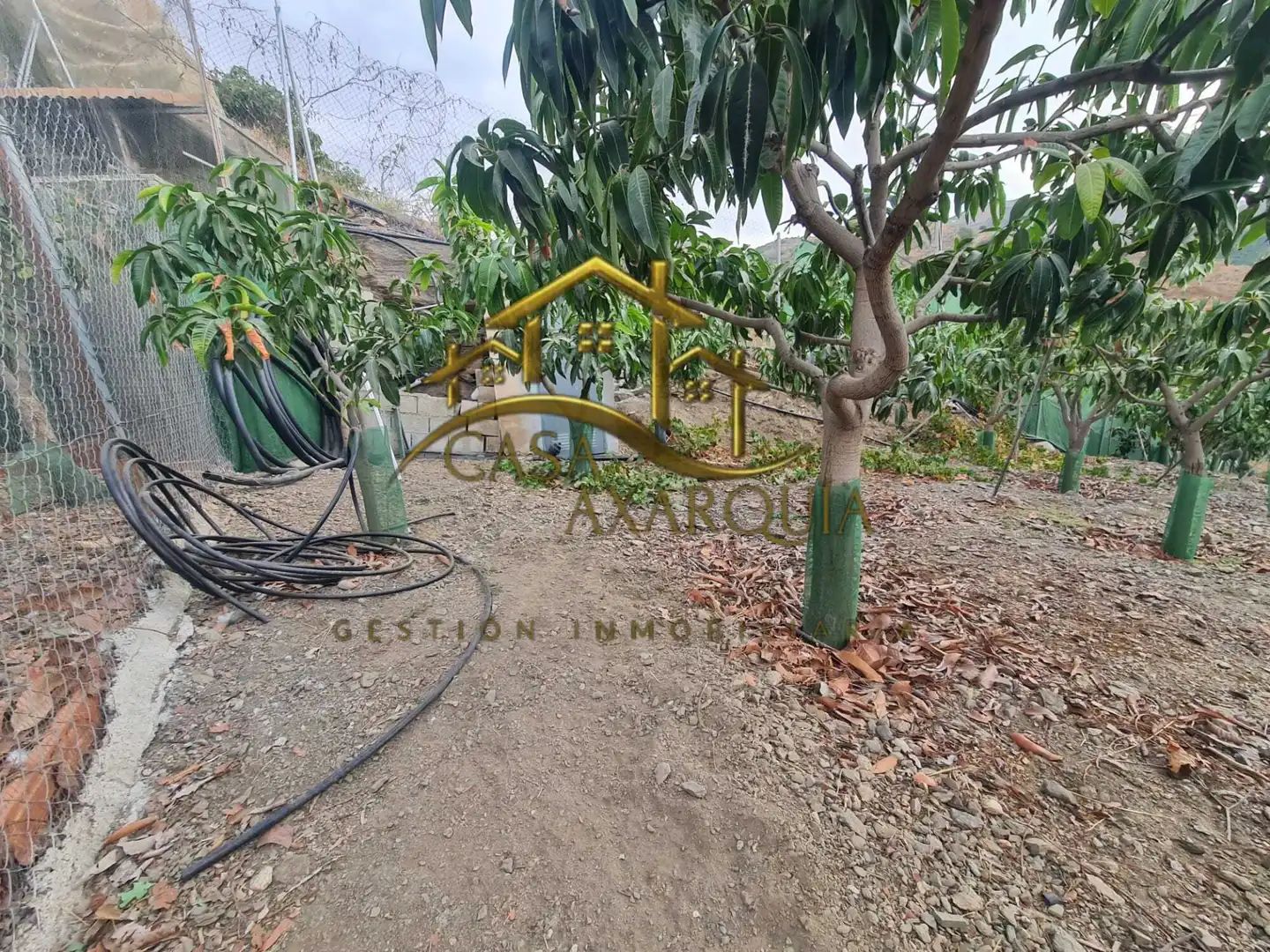 Finca rústica en venda en Vélez-Málaga amb Jardí privat, Terrassa i Piscina