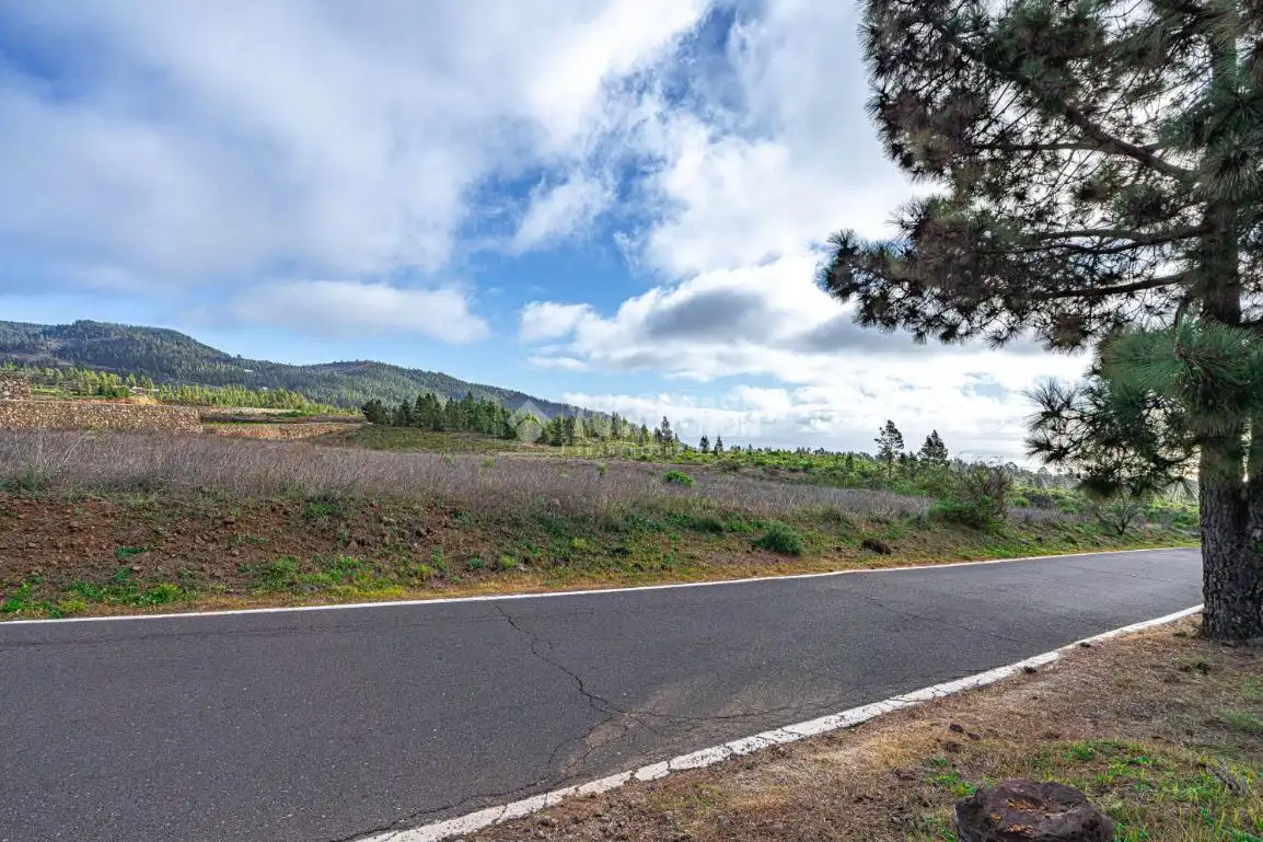 Terreno rústico en venta en Poligono 1, ERA VERDE, VILAFLOR DE CHASNA, imagen 13