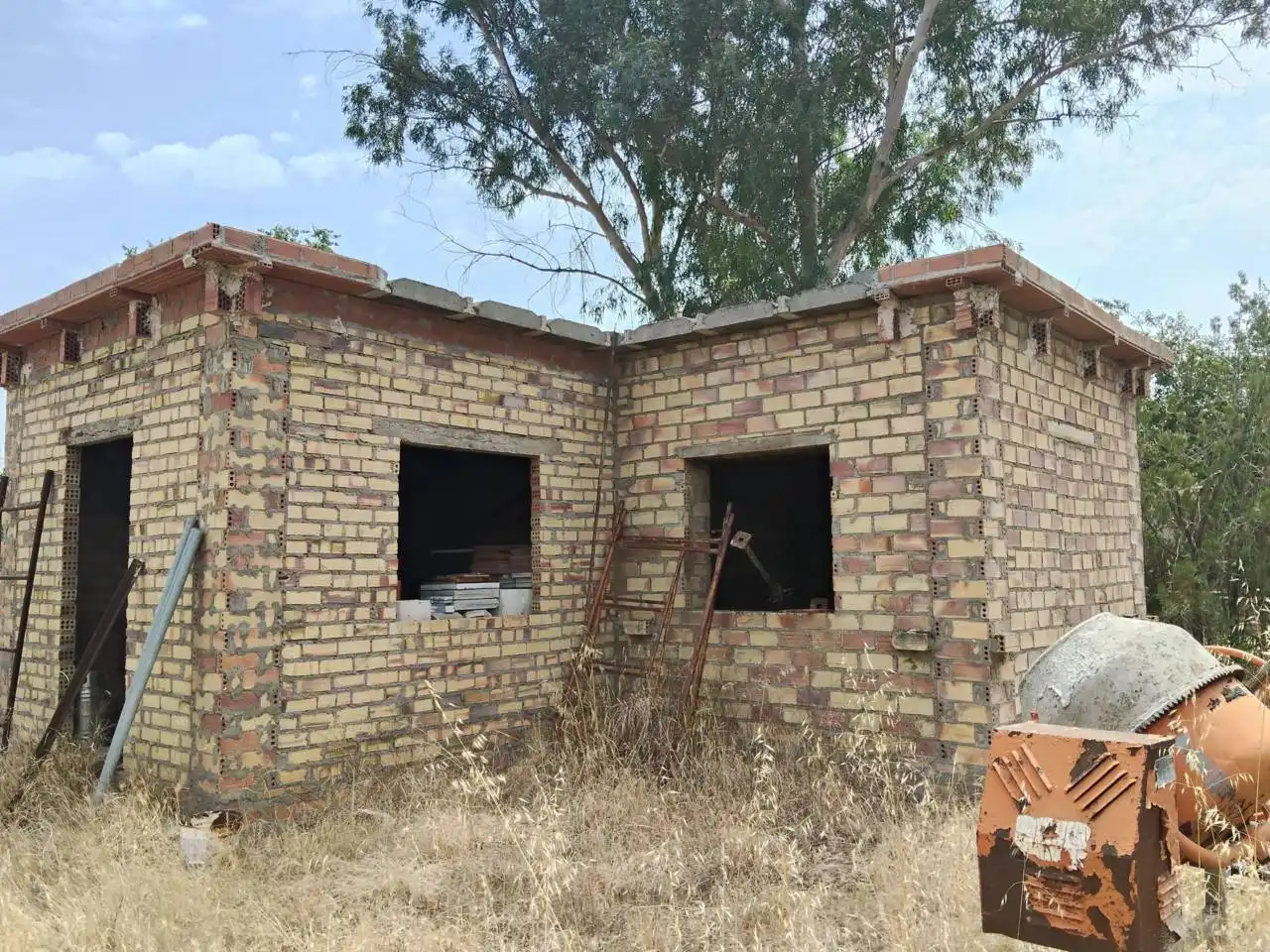 Vista exterior de Casa o chalet en venta en Carmona con Jardín privado y Terraza