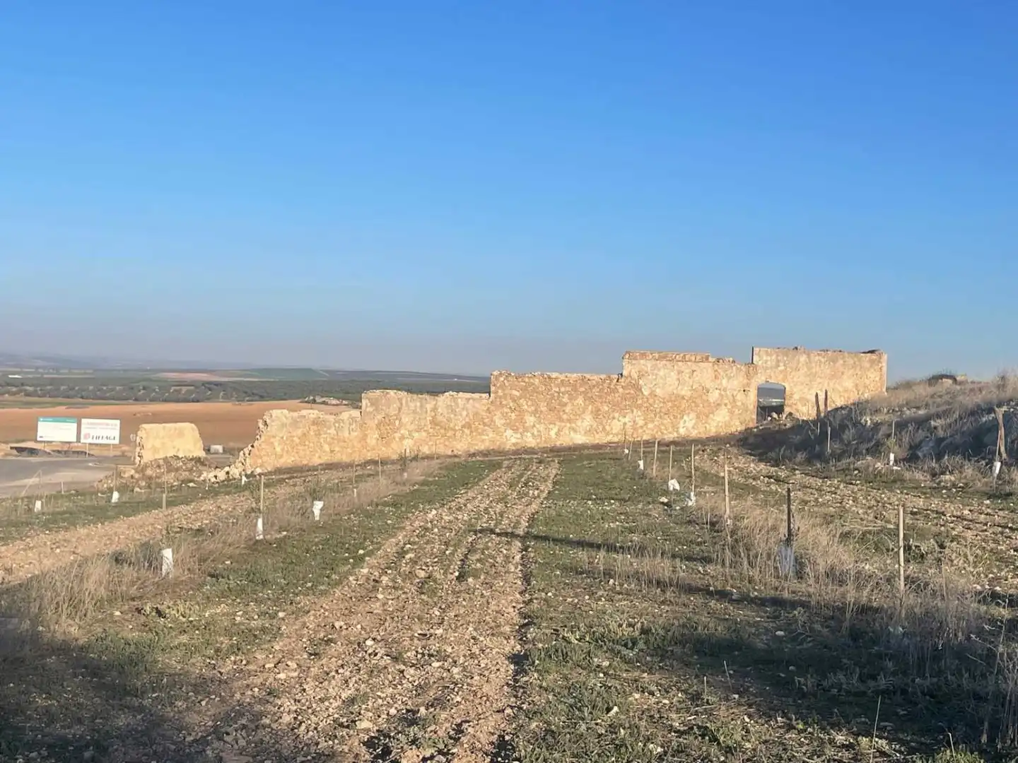 Lands and plots for sale in Marinaleda, imagen 3