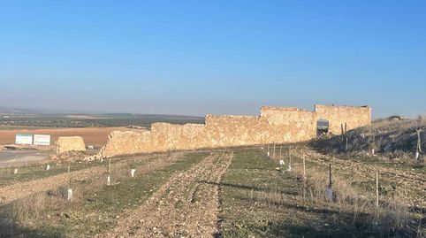 VENTA · FINCA RÚSTICA · ESTEPA, immagine 3