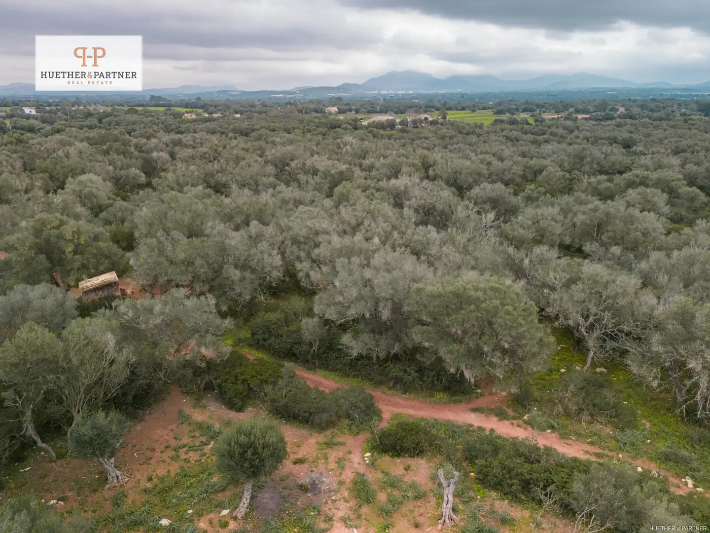 Residential land for sale in Felanitx Poble, imagen 10