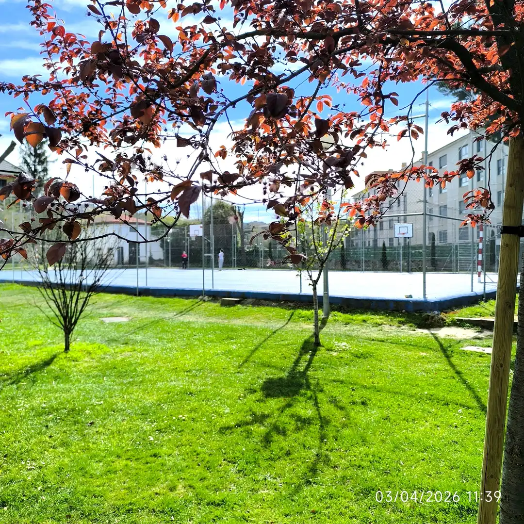 Vista exterior de Piso en venta en Collado Villalba con Calefacción, Terraza y Trastero