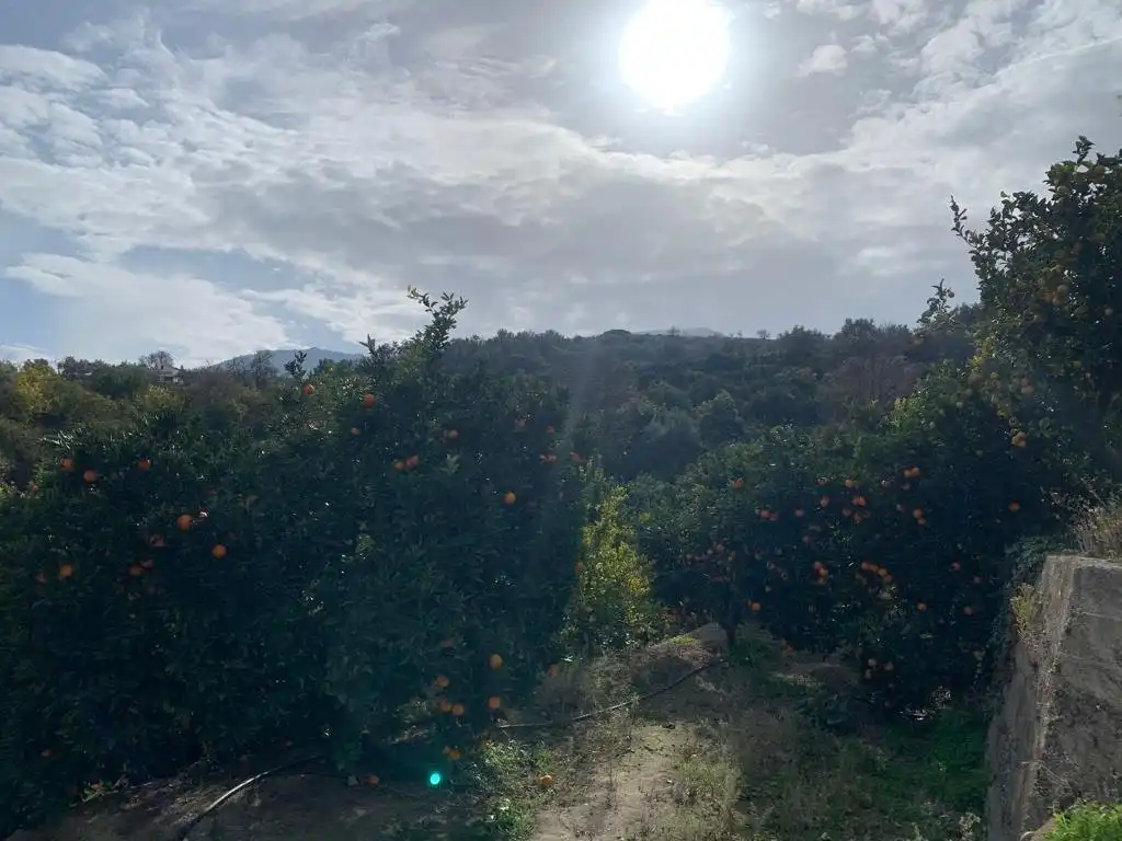 Finca rústica en venta en Lecrín