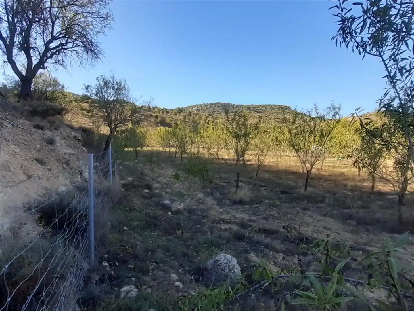 Terreno en venta en Algar de Mesa, Guadalajara
