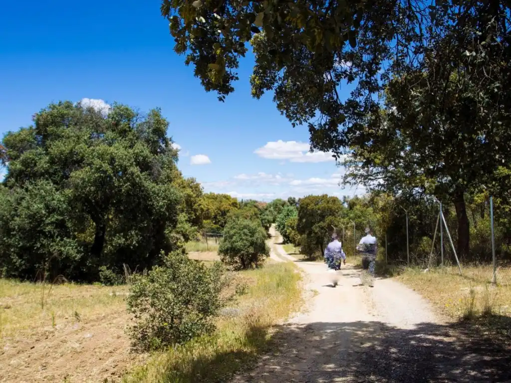 Finca rústica en venda a La Dehesa - El Pinar