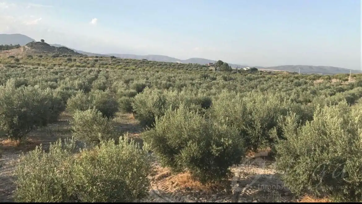 Xalet amb terrassa en venda a Moratalla, imagen 10