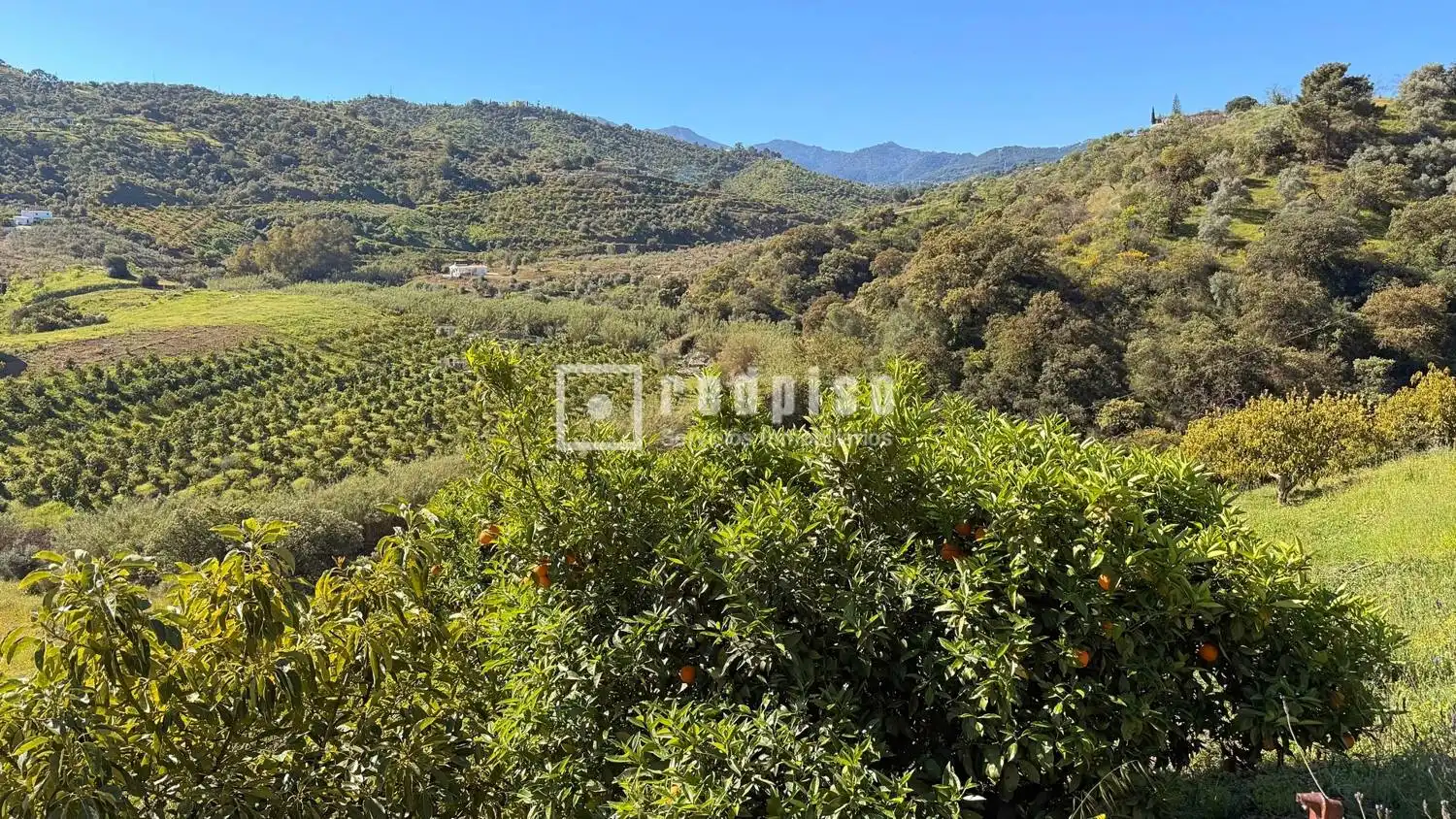 Casa con jardín en venta en Diseminados, imagen 42