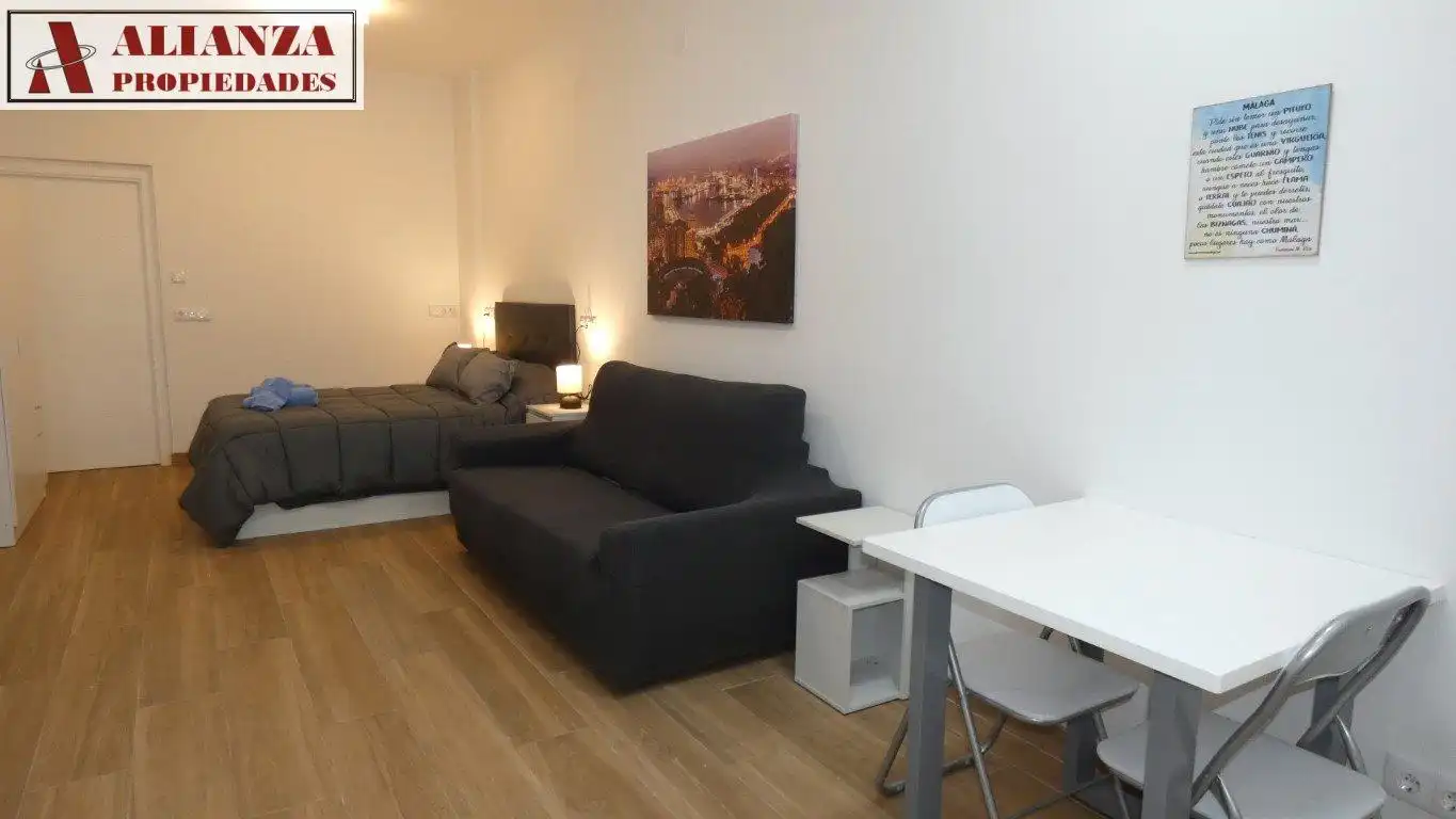 Estudio de alquiler en La Unión - Cruz de Humilladero - Los Tilos