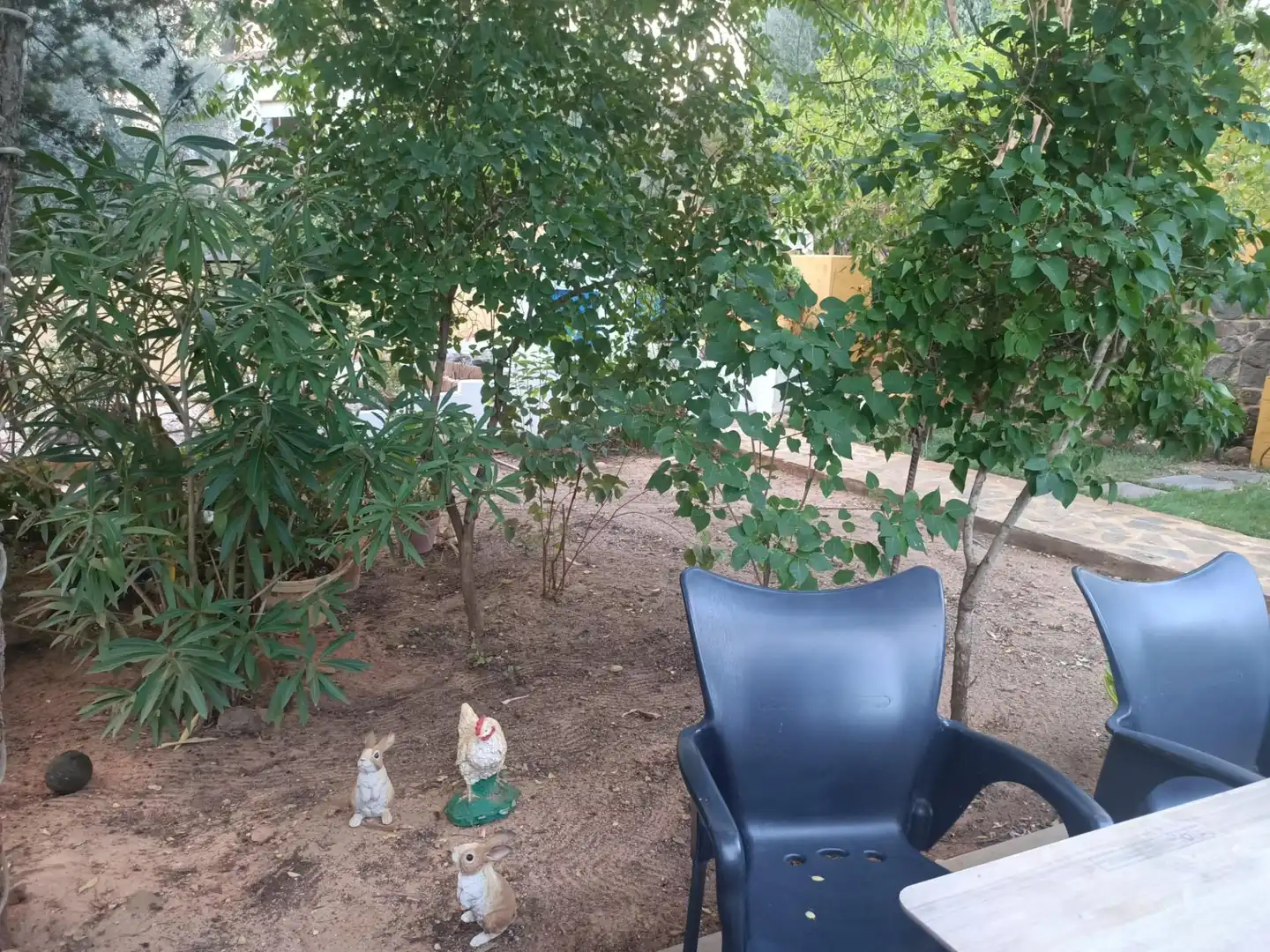 Jardí de Casa o xalet en venda en Piedrabuena amb Aire condicionat, Calefacció i Jardí privat