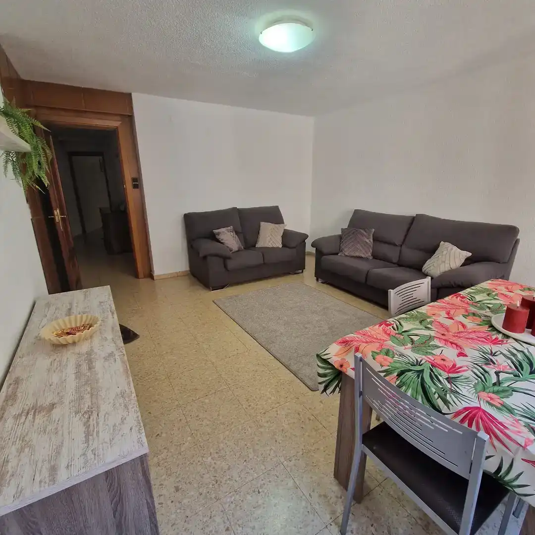 Sala d'estar de Pis en venda en Petrer