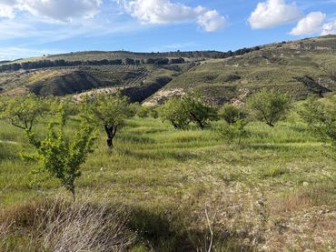 Terreno rustico in vendita a Lugar Poligono 7 Parcela 55