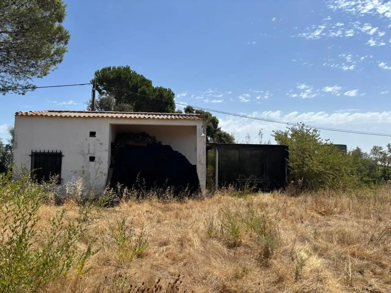Finca rústica en venda a San Bartolomé de la Torre