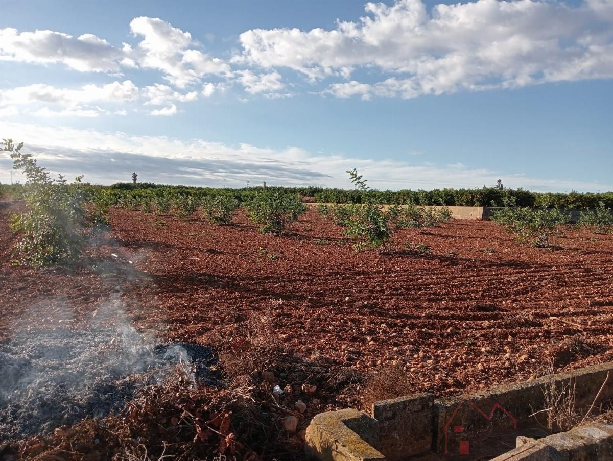 Country house for sale in Benifaió
