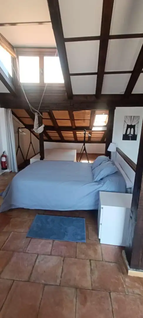 Inmuebles singulares en venta en Plaza Mayor - San Agustín, imagen 20