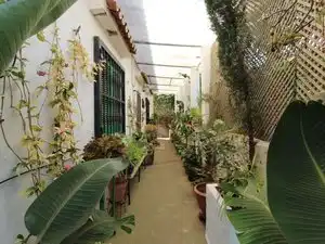 Vista exterior de Finca rústica en venda en Santa María de Guía de Gran Canaria amb Jardí privat, Terrassa i Traster