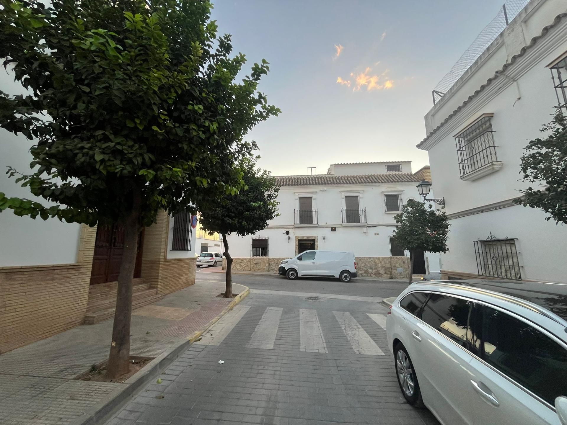 Vista exterior de Casa o chalet en venta en La Puebla de Cazalla