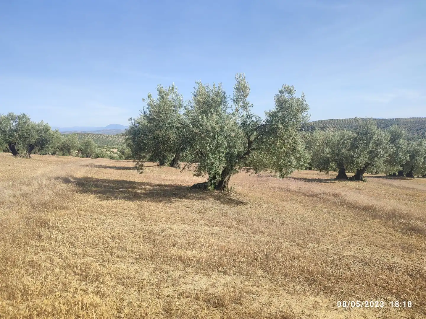 Terreni e lotti in vendita a Porcuna, imagen 3