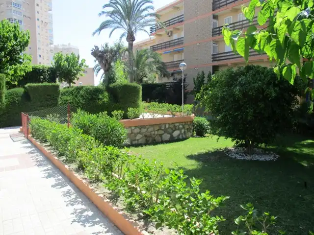 Apartamento de alquiler en Carrer el Pinós, 18, Playa Muchavista