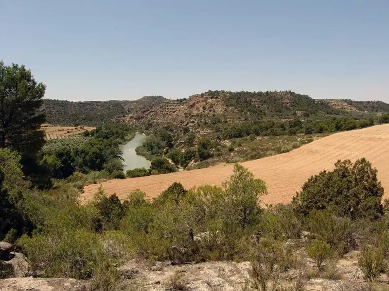 Finca rústica en venta en Alcañiz