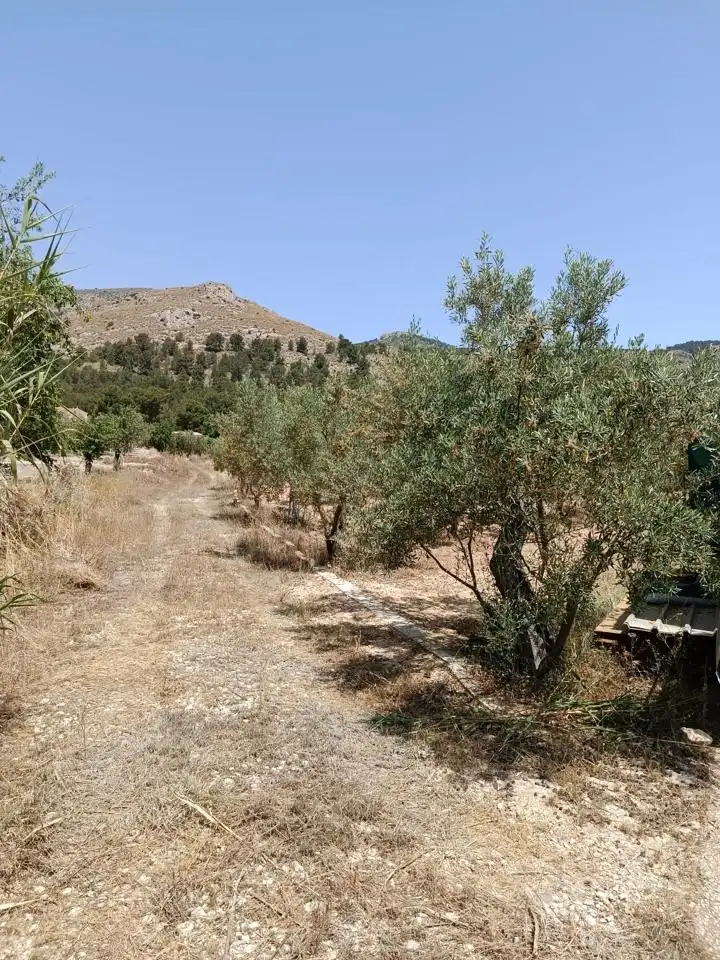Terrenys i solars en venda a Partida Prats, imagen 5