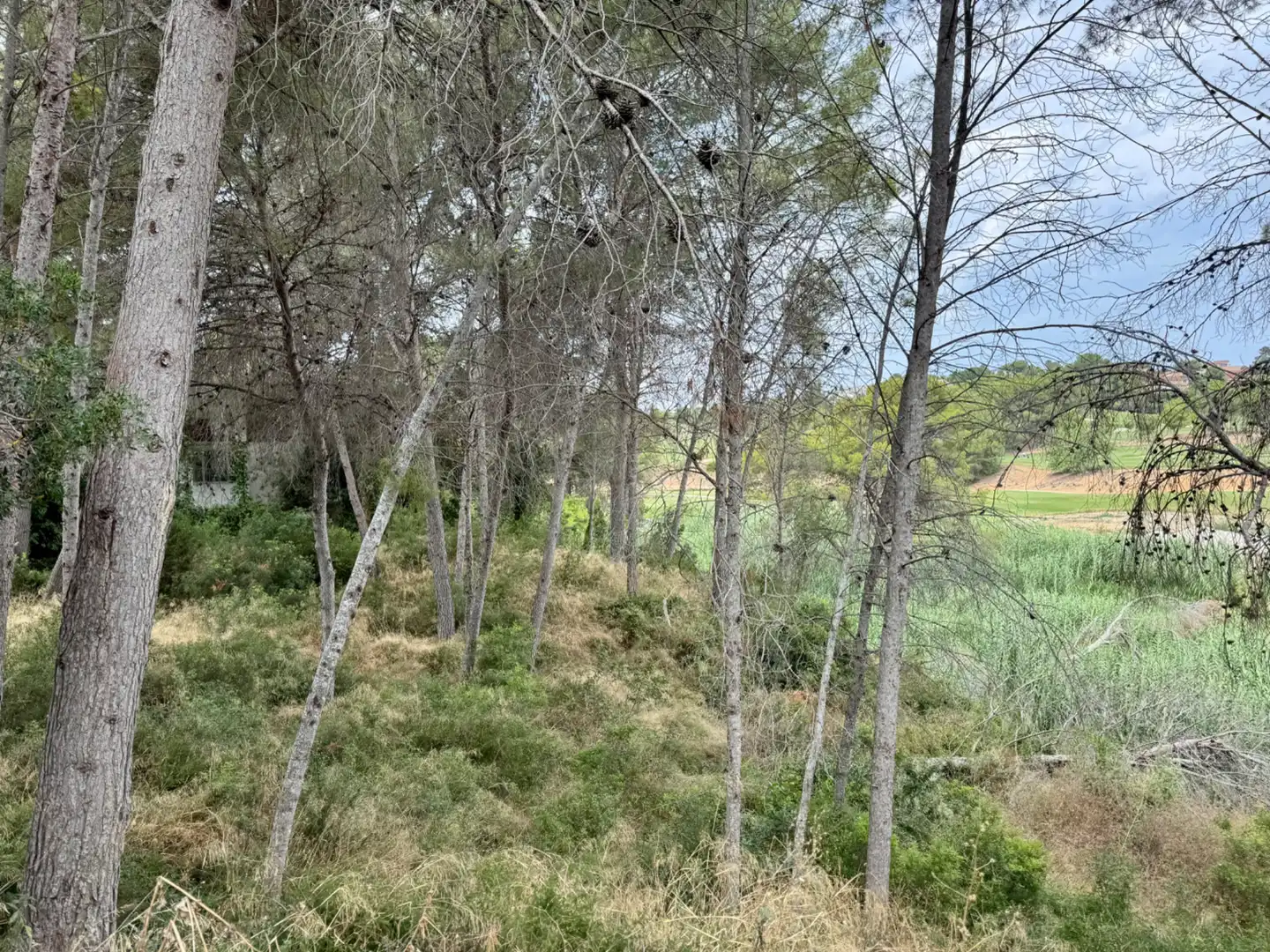 Residencial en venta en Urbanizacion Bosque, El Bosque