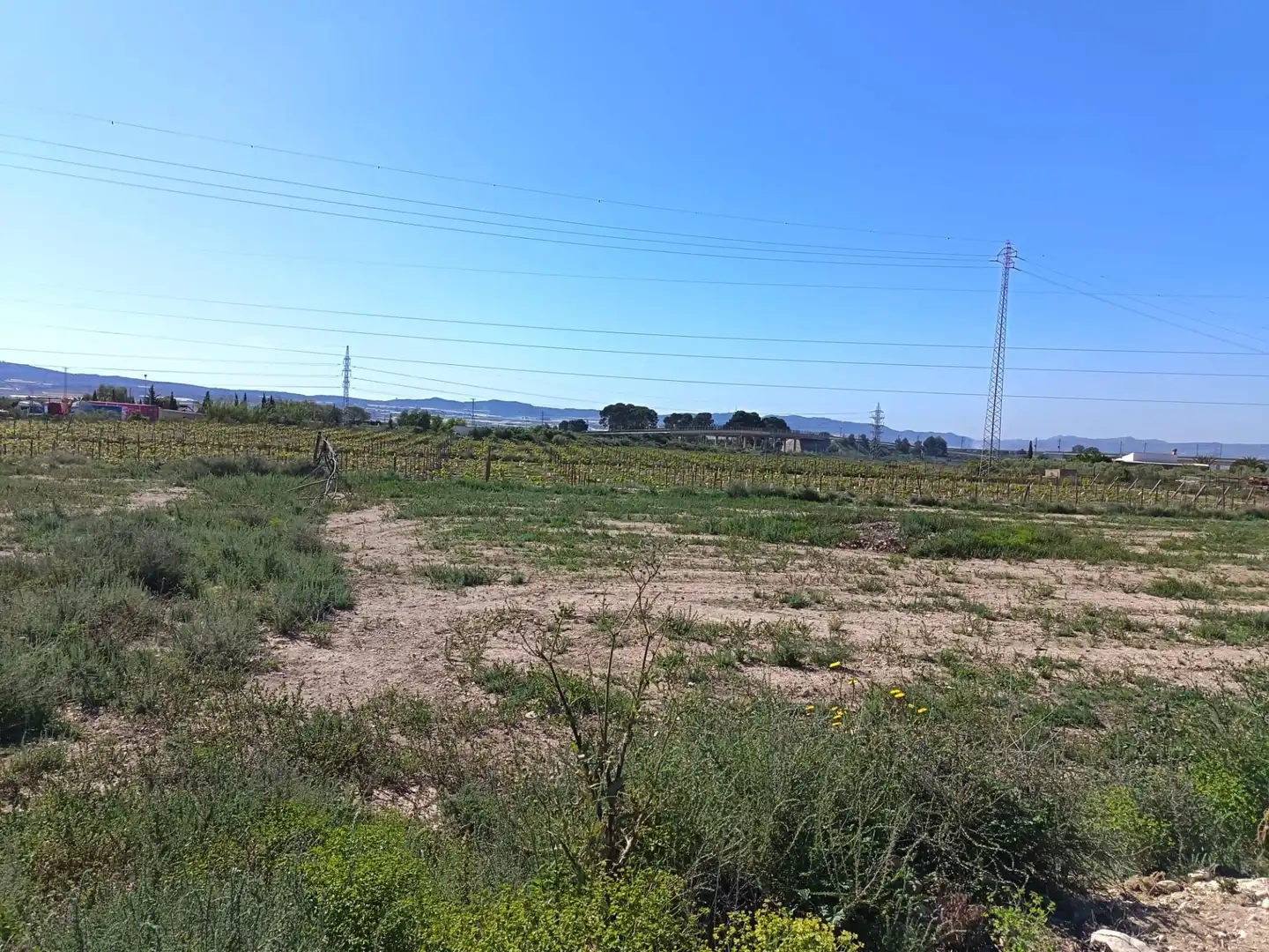 Rustikales Grundstück zum Verkauf in Monforte del Cid, imagen 3