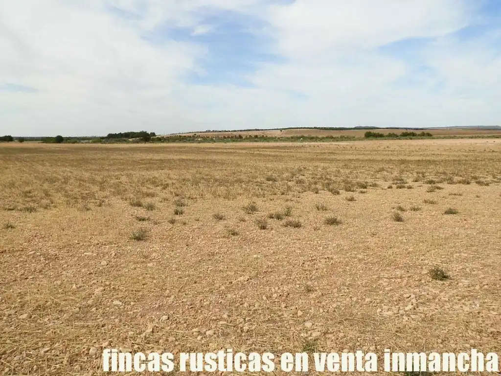 Terreni e lotti in vendita a San Pablo, imagen 11