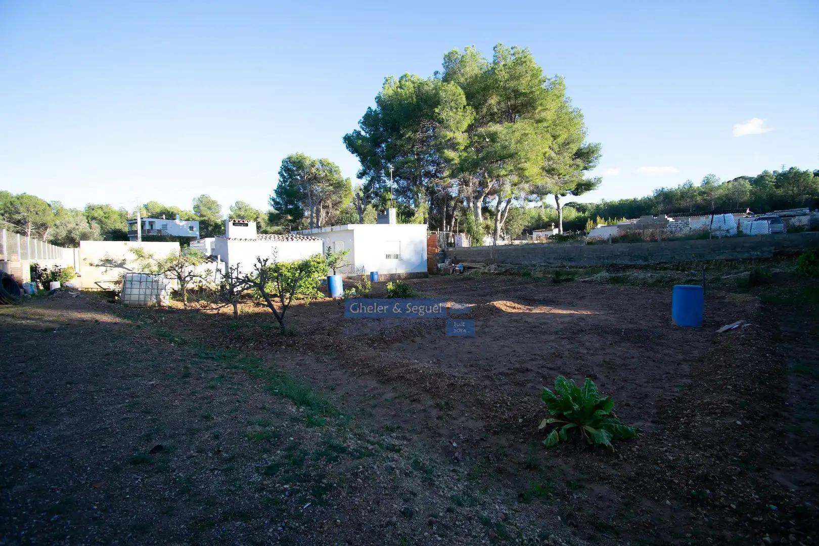 Finca rústica en venta en Albalat dels Tarongers