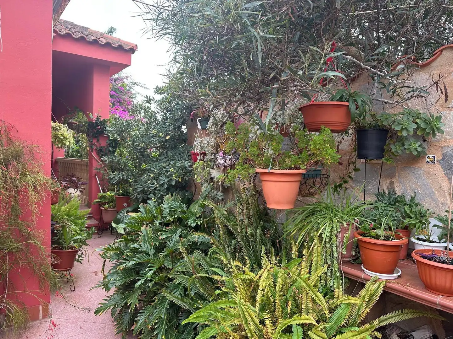 Villa zum Verkauf in Los Collados-Los Geraneos, imagen 22