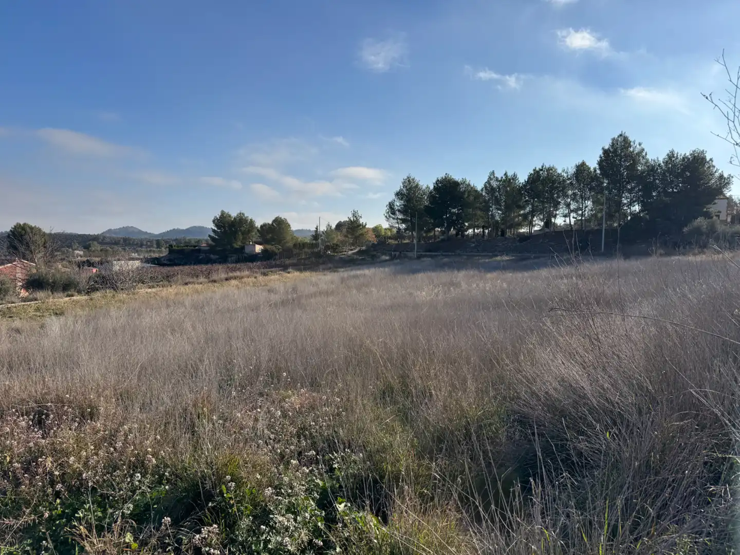 Wohnbaugrundstück zum Verkauf in Camino San Gines 8, imagen 6