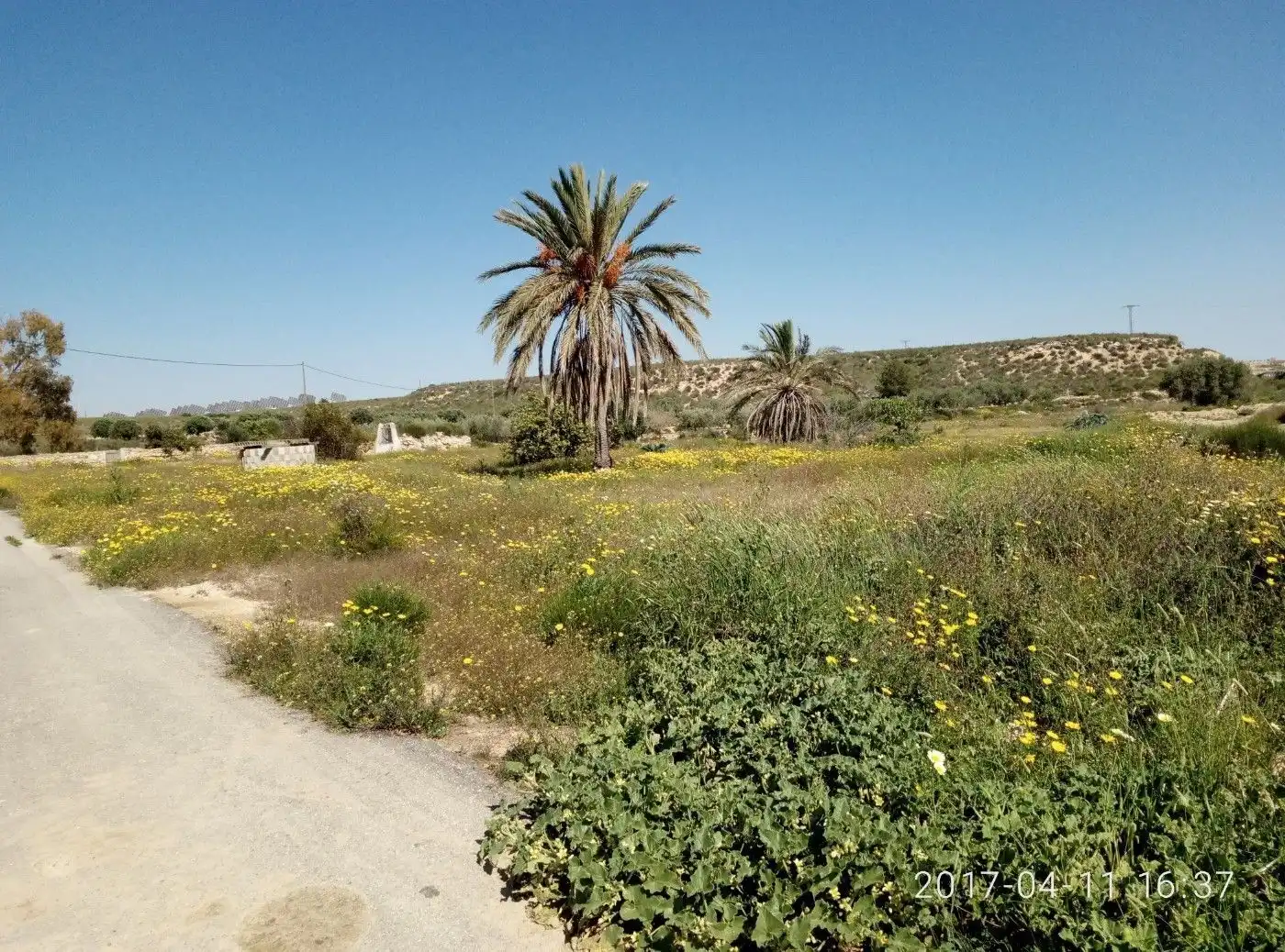 Terreny residencial en venda a Sierra de Carrascoy, imagen 2