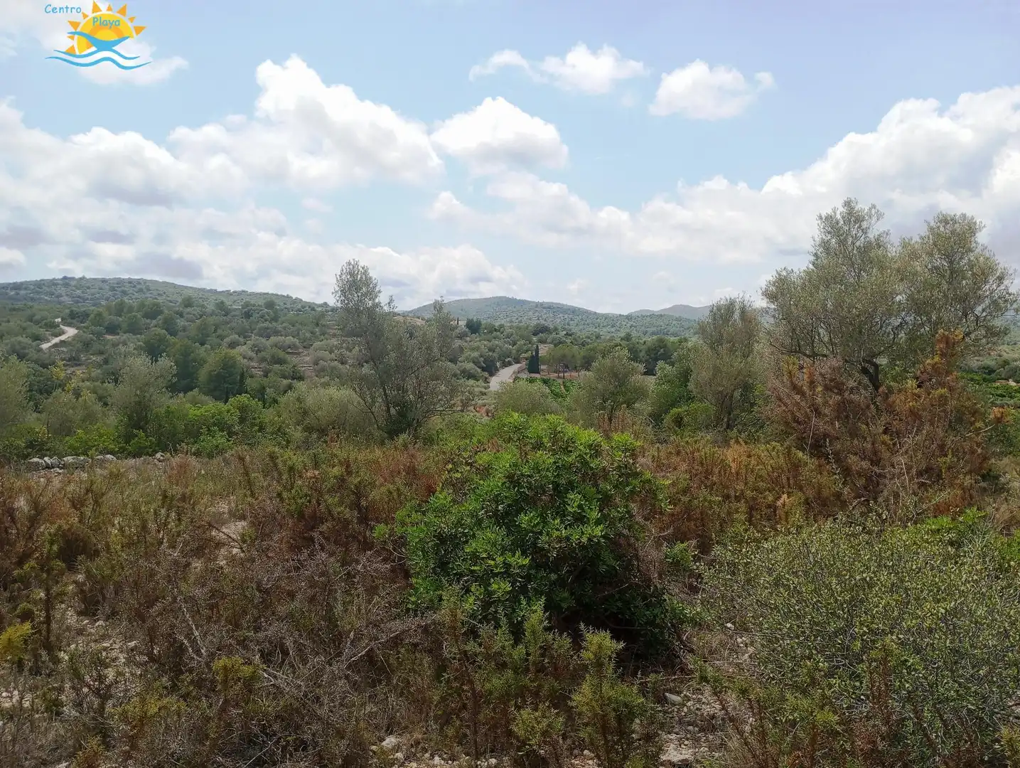 Maison rustique à vendre à CALIG CASTELLON 12589, imagen 13