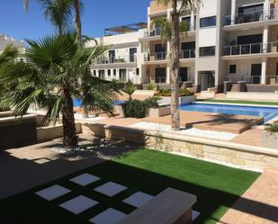 Swimming pool of Planta baja to rent in Orihuela  with Air Conditioner, Heating and Terrace