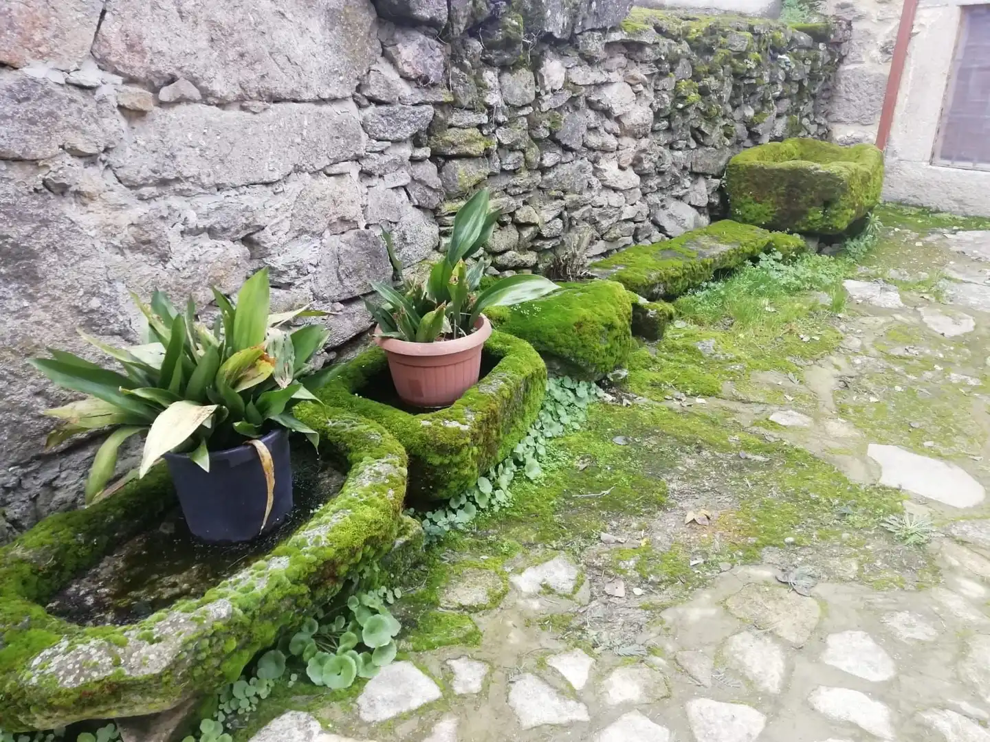 Garden of Country homes for sale in Fariza  with Private garden, Terrace and Storage room