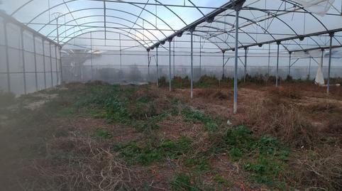 Photo 3 of Residential for sale in Carrús Oeste, Pont Nou - Corazón de Jesús, Elche / Elx