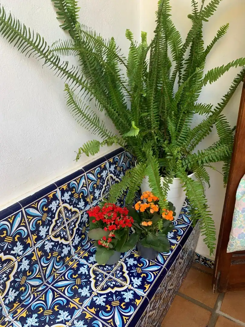 Balcony of Houses for rent in La Manga del Mar Menor  with Air Conditioner, Heating and Terrace