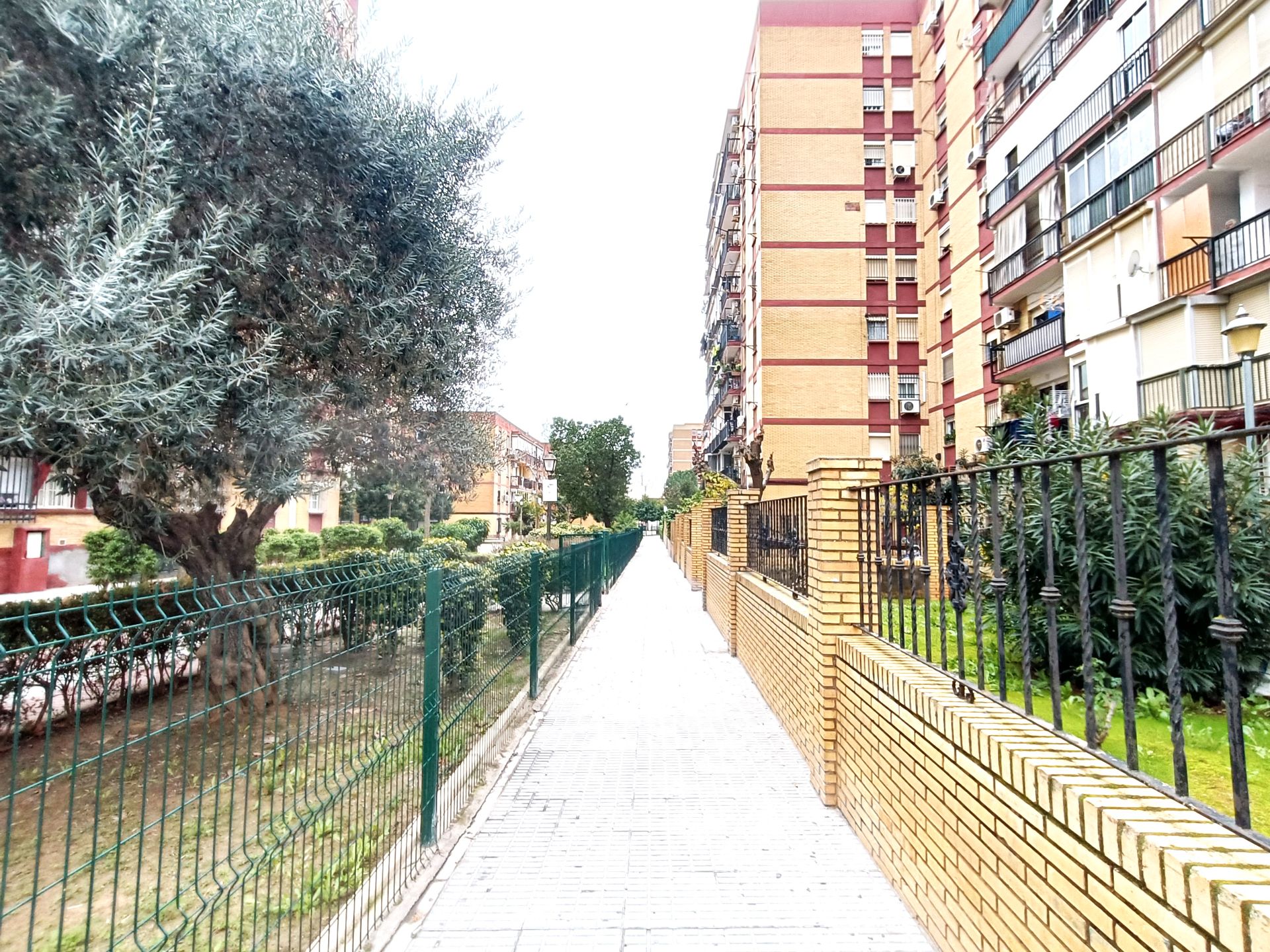 Exterior view of Flat for sale in Castilleja de la Cuesta  with Air Conditioner, Terrace and Storage room