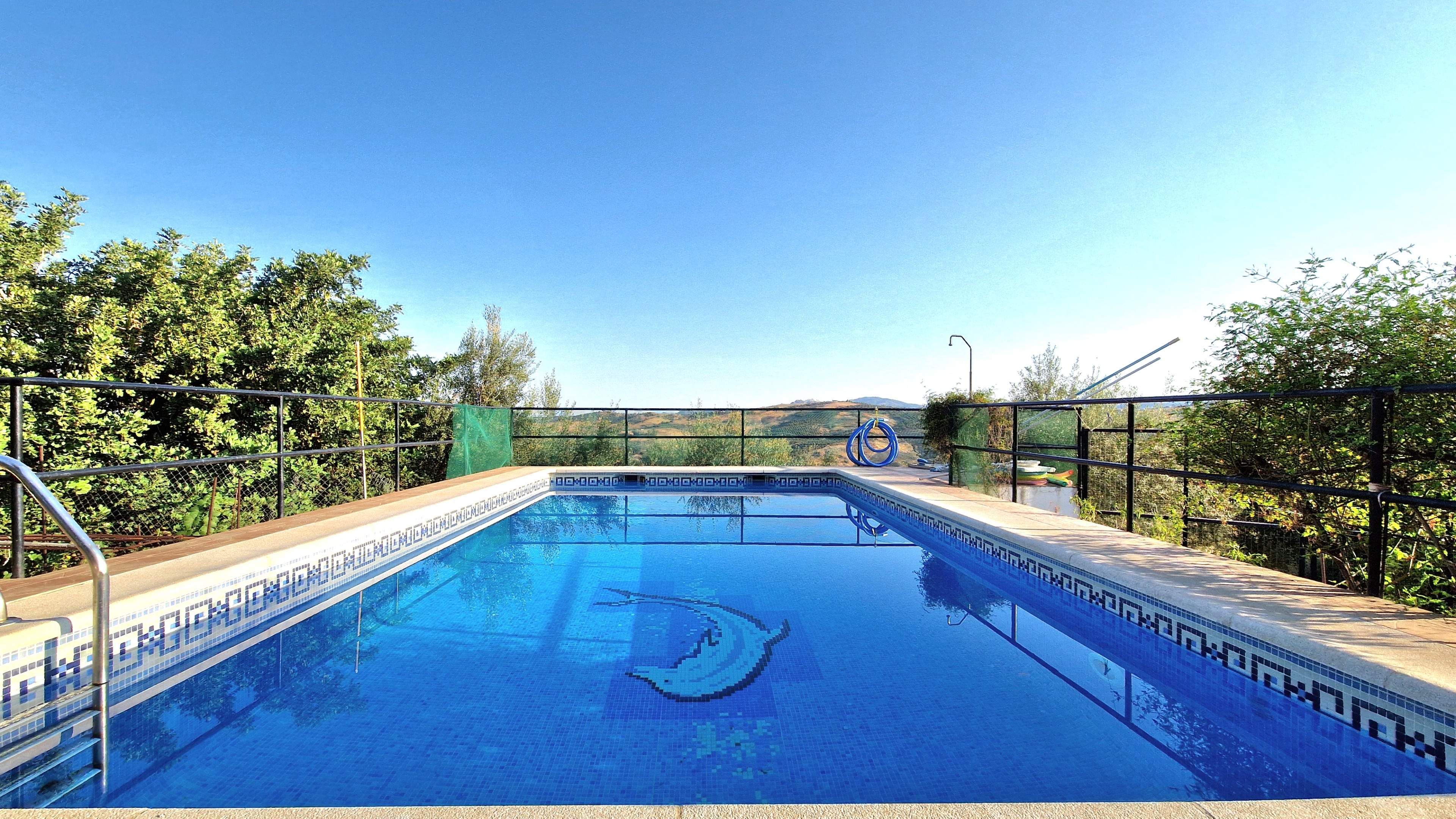 Piscina de Finca rústica en venta en Periana con Jardín privado y Piscina