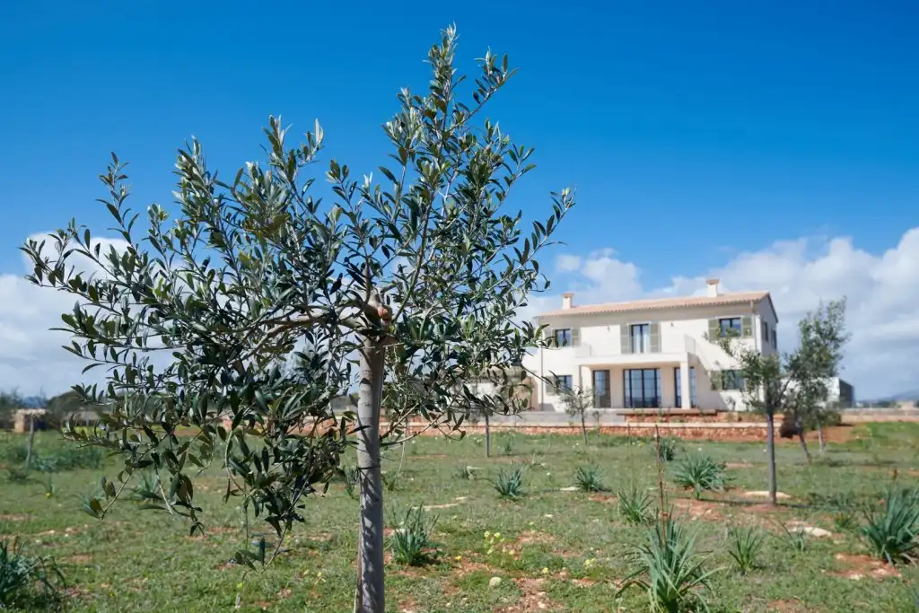 Exterior view of Country homes for sale in Manacor  with Air Conditioner, Heating and Private garden